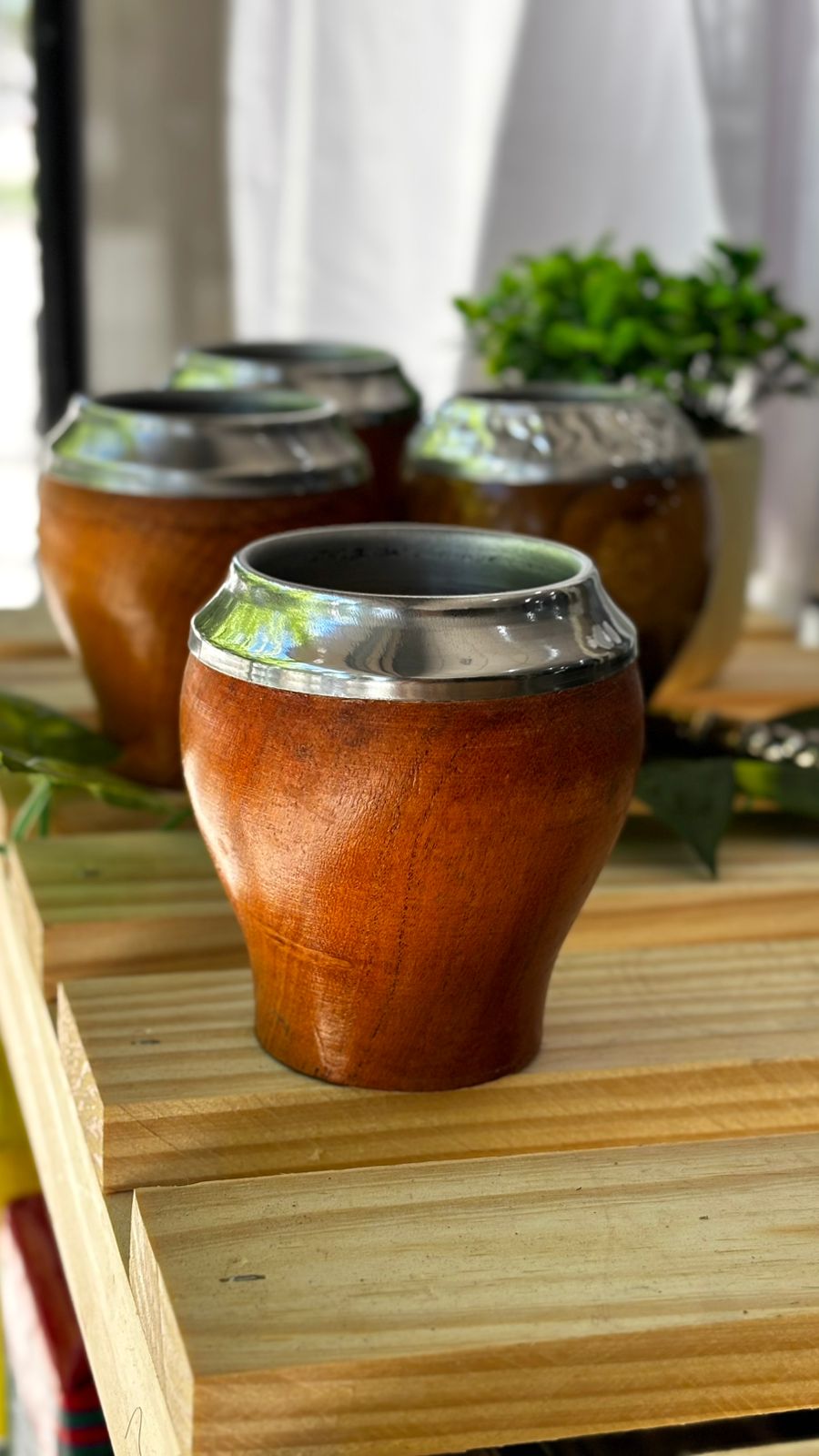 Torpedo De Algarrobo L